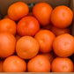 セミノールオレンジ 3kg